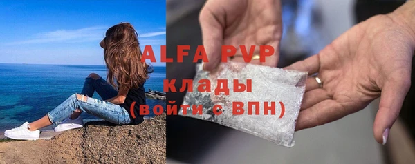 индика Баксан