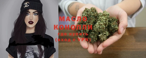 индика Баксан