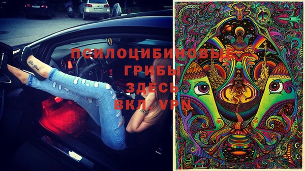 индика Баксан