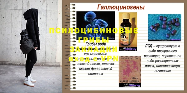 индика Баксан